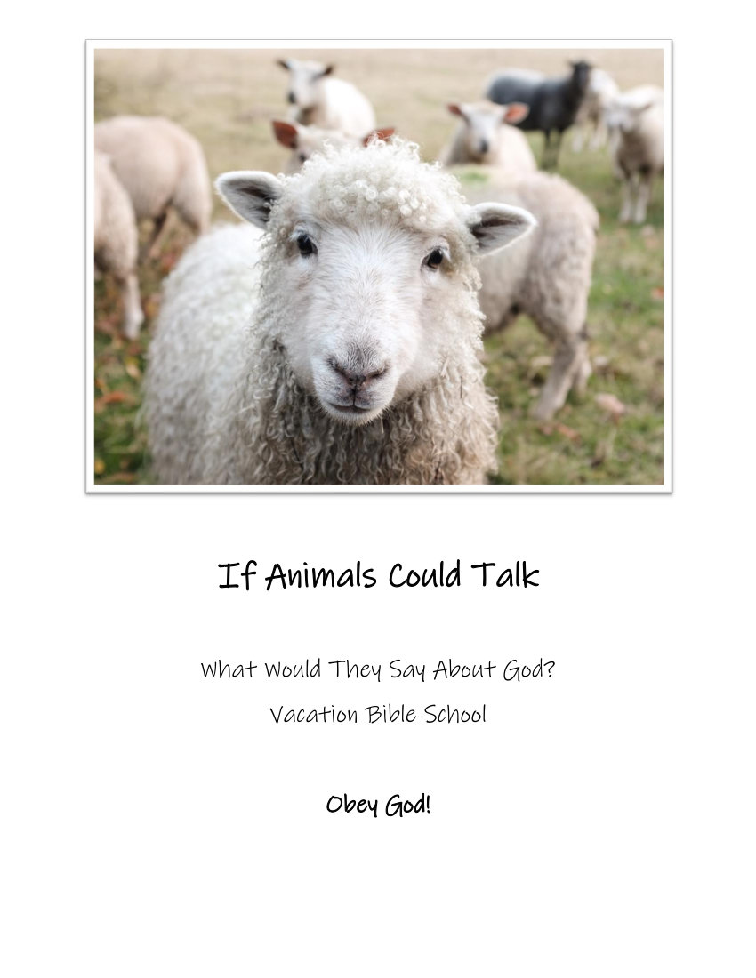 If Animals Could Talk VBS